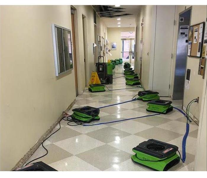 Many air dryers in commercial hallway.