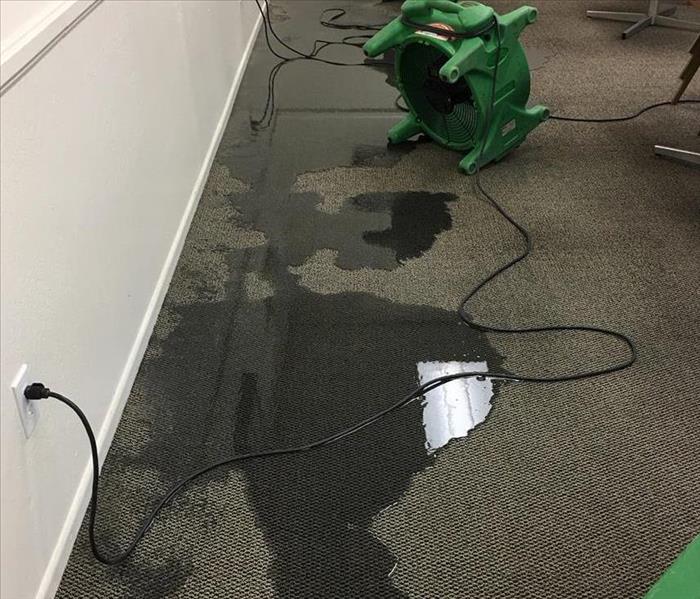 Flooding on carpet with fans set up 