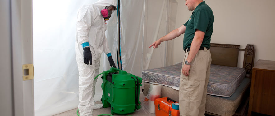 Santa Barbara, CA mold removal process